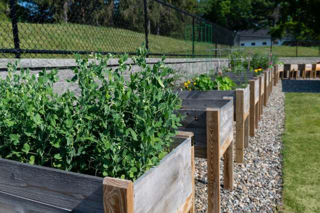 Community Garden Boxes: Summit at Mill Hill